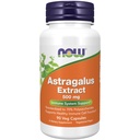 TERAZ potraviny Imunitná podpora doplnky, Astragalus extrakt 500 mg (štandardizovaný na 70% Polysacharidy), 90 Veg kapsuly