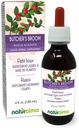Naturalma Butcher je Broom (Ruscus aculeatus) Root bez alkoholu Tinture - 4 fl oz Liquid Extract in Drops - Bylinné doplnky - Vegan