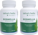 Bylinky Boswellia Serrata Supplement, Boswellia Extract Capsules, Joint Suppplement, CO2 Extract, Boswellia Complex Powder, 2-Pack, 240 Count, 500 mg - 25 rokov Premium Service