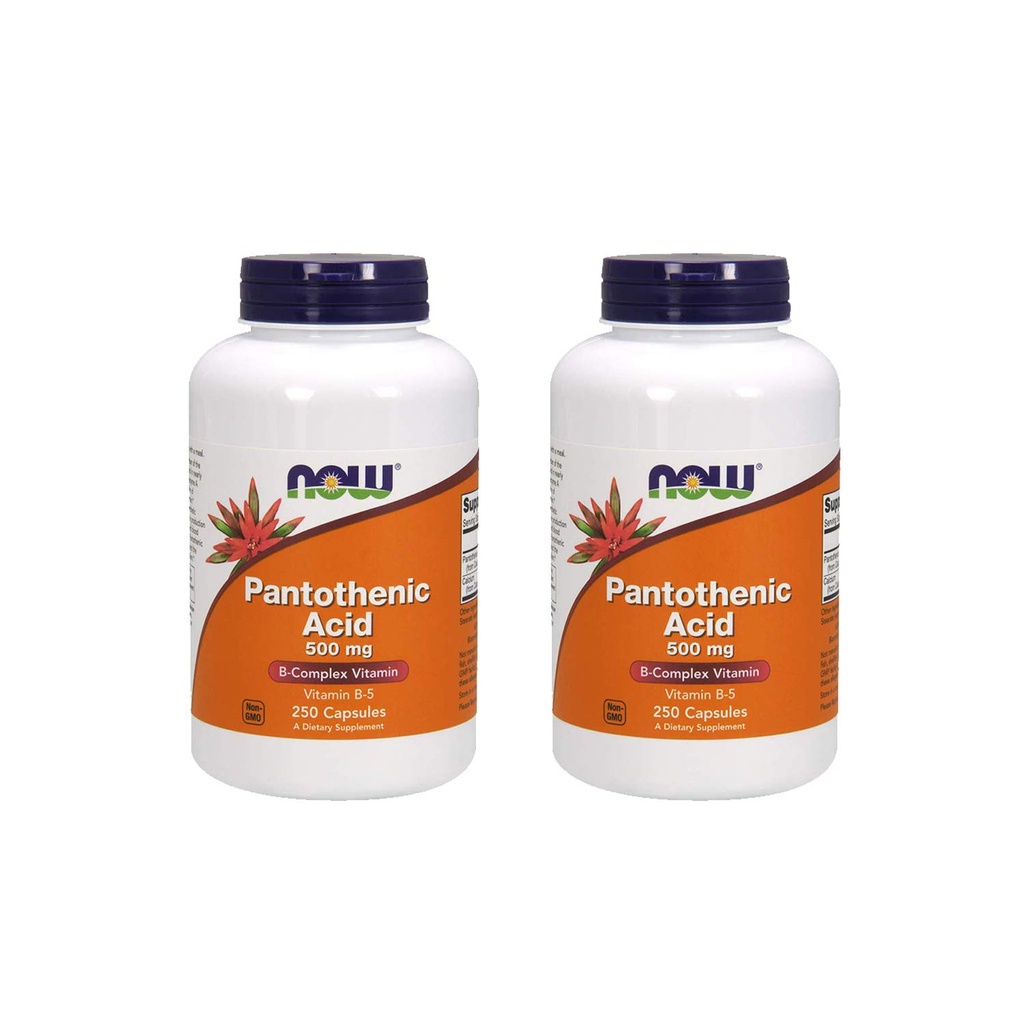 Teraz Foods Kyselina pantoténová 500 mg, 250 kapsúl (2 balenia)