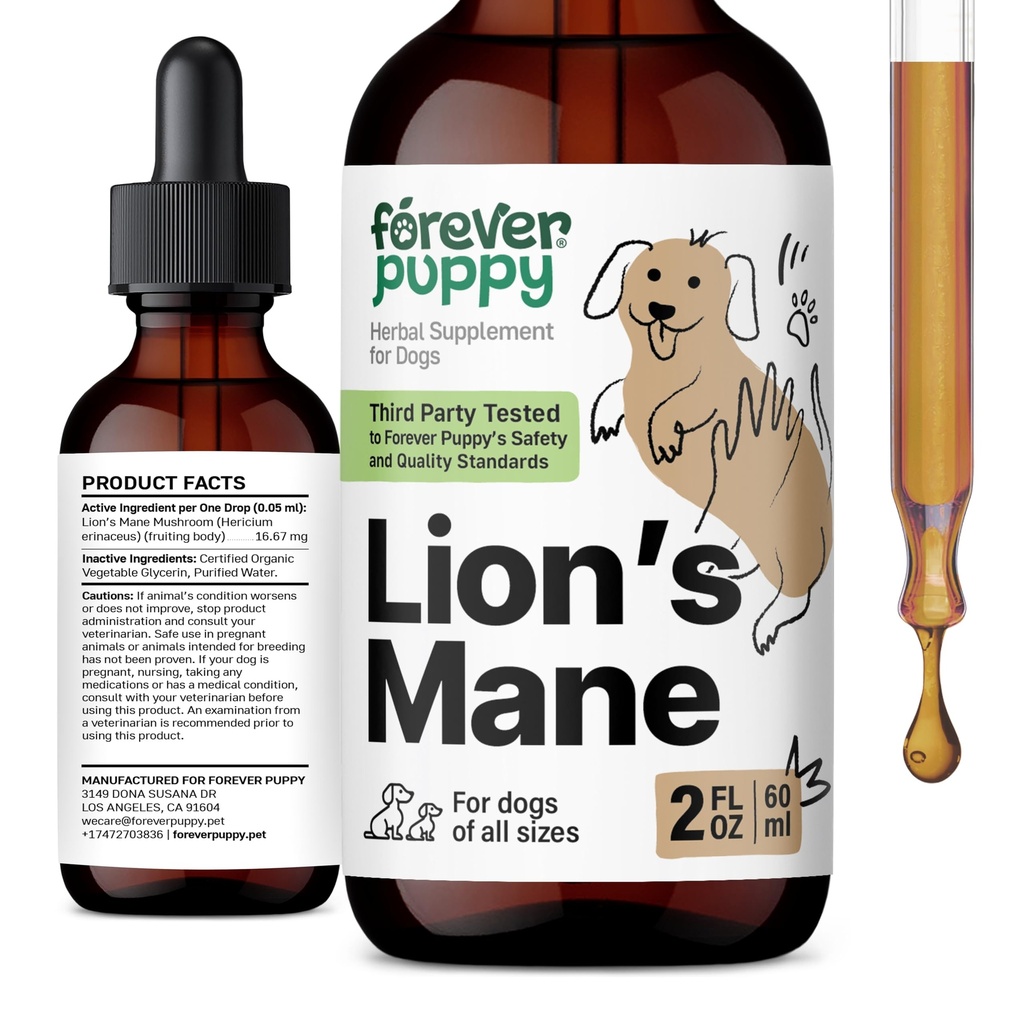Forever Puppy Lions Mane Huba Supplement for Psi - Podpora mozgu a zaostrenia - Liquid Lion's Mane Huba pre psov - Psie vitamíny a doplnky - Cukor a bez alkoholu kvapky - 2 fl oz