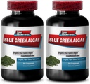 Pure Green Superfood od Klamath Lake na podporu zdravšie a mladšie vyzerajúce skin - Blue Green Algae 500mg, Blue Green Algae Kapsule, Blue Green spirulina, spirulina, chlorella - 2B 120 Cap