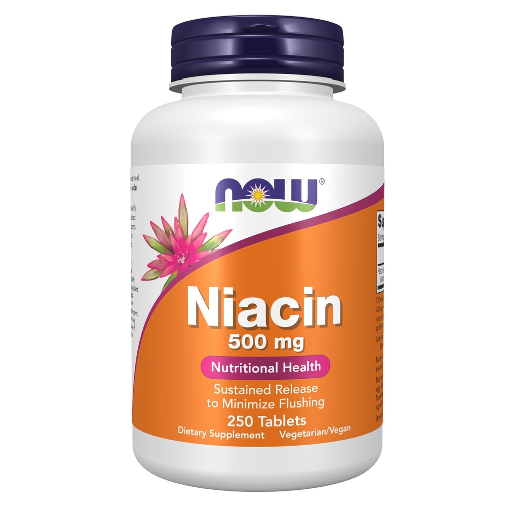 TERAZ potravinové doplnky, Niacín (vitamín B-3) 500 mg, Trvalé uvoľňovanie, Nutričné zdravie, 250 tabliet
