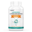 Lipozomálna NAD+ Doplnok 500 mg, vysoká absorpcia, zvýšená hladina NAD+ s TMG 250 mg, skutočná NAD Plus efektívnejšia ako nikotínamid Riboside, podporná bunková energia, zdravé starnutie 60 Softgels