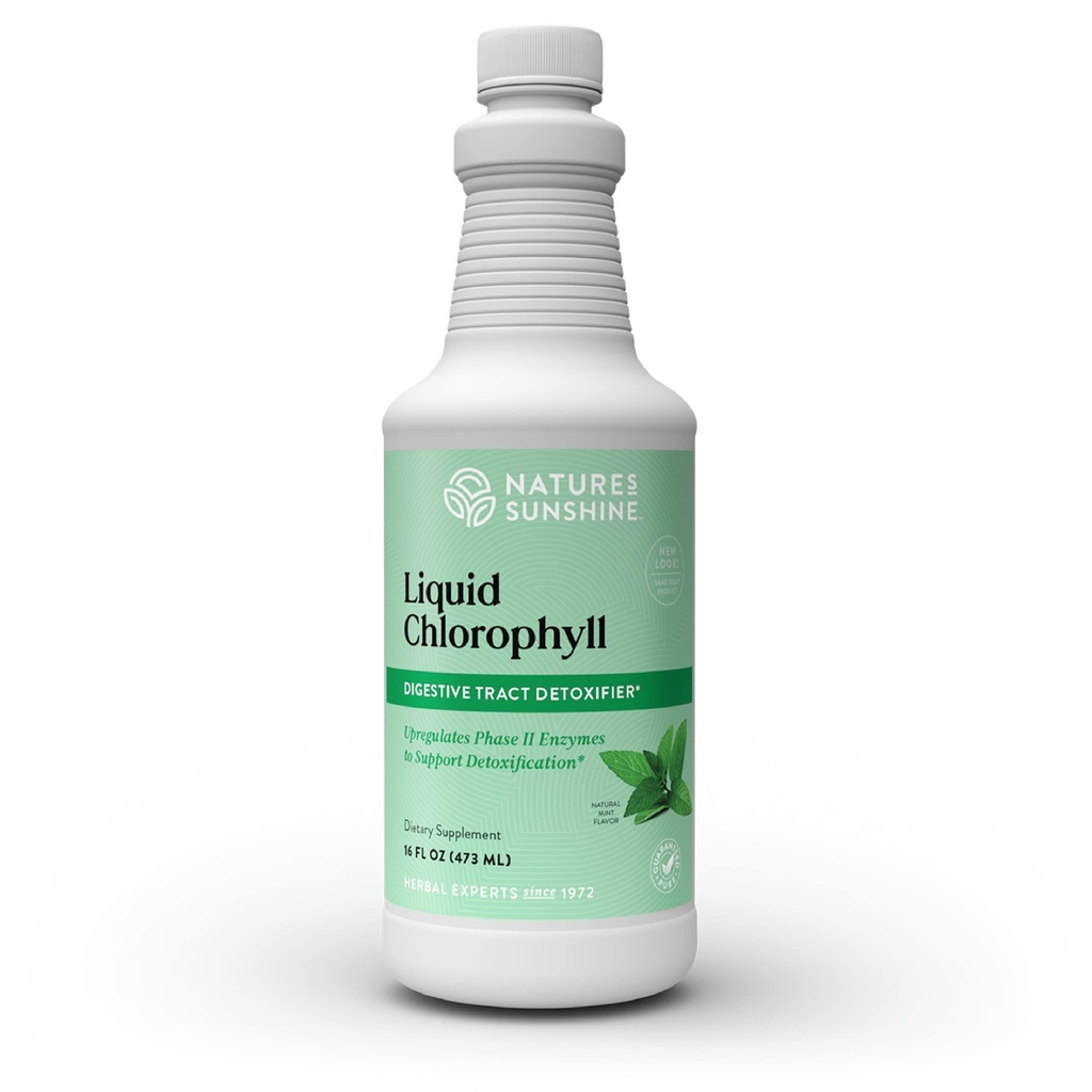 Slnko Slnko Tekutý Chlorofyl - Podpora imunity, Detoxikácia a čistenie, Chlorofyl Tekuté kvapky s olejom Spearmint, Prírodná energia Boost, Interný dezodorant - 16 Fl Oz