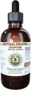Coptis tekutý extrakt bez obsahu alkoholu, Coptis (Rhizoma Coptidis) sušený koreňový glycerit Hawaii Pharm prírodný bylinný doplnok 2 oz