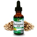 Prírodná odpoveď Astragalus Root Alkohol bez bylinné doplnok 1 Ounce (2 balenie) 