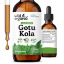Wild & Organic Gotu Kola Herb Tinture - Podpora mozgu - Gotu Kola Liquid Extract Drops - Vegan, Cukor a alkohol-Free Centella Asiatica Supplement - 2 fl oz