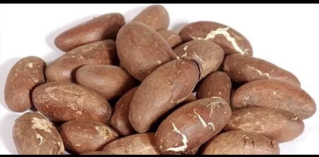 Horká Kola Nut Garcinia Kola Cola 1 Lb