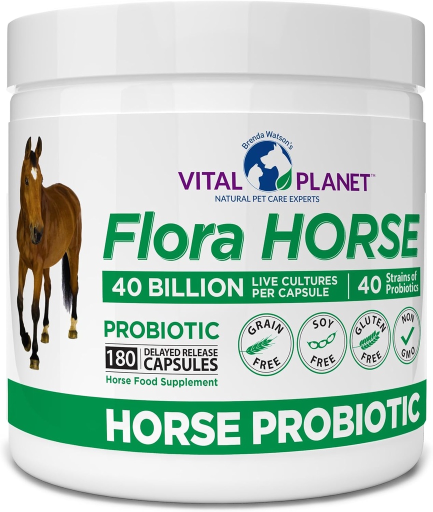 Vital Planet - Flora Horse Probiotic, High Potency Equine Probiotiká s prebiotikami, 40 miliárd živých CFU z viacerých kmeňov, Tráviace a imunitnej podpory, 180 oneskorené uvoľnenie kapsuly (180 dní)