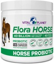 Vital Planet - Flora Horse Probiotic, High Potency Equine Probiotiká s prebiotikami, 40 miliárd živých CFU z viacerých kmeňov, Tráviace a imunitnej podpory, 180 oneskorené uvoľnenie kapsuly (180 dní)