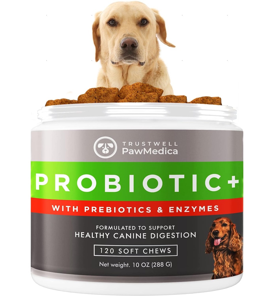 PawMedica Dog Probiotiká a tráviace enzýmy, Probiotiká pre psov Vyrobené v USA, Pet Probiotic Chews for Psy, Prebiotiká a probiotické pes Digestívna podpora, Probiotické liečby - 120 pes probiotické Chews