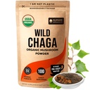 Organické Chaga Huby Powder - Jemný prášok na výrobu čaju Chaga pre imunitnú obranu a viac energie, Organické Chaga je Wild Grown a Trvalo udržateľný zber v Európe, Certified USDA Organic, 100 porcií