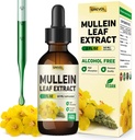 Mullein kvapky pre Pľúca Supplement: Organic Mullein Leaf 30:1 Extrakt Tinktúra s chlorofylom - Bylinné doplnky Podpora Pľúcne čistenie a respiračné funkcie - non-GMO, Vegan - 2 Fl Oz