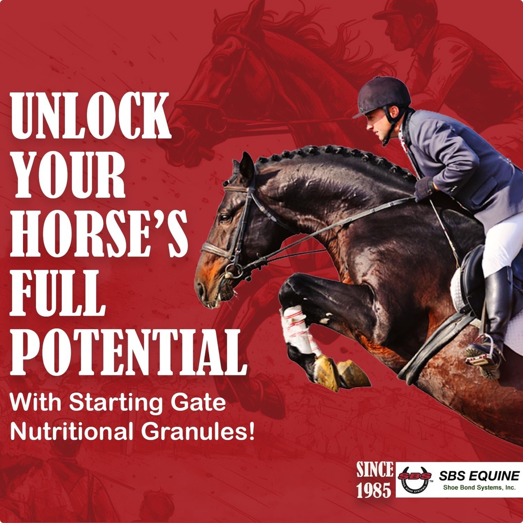 SBS Equine Starting Gate Granulát - Horse Žalúdočné Ulcer liečba & Ulcer Relief, Konské doplnok Vzorec Scoop pre krmivo, Perfect Prep ako Hoof Supplement (5 Gallon)