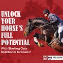 SBS Equine Starting Gate Granulát - Horse Žalúdočné Ulcer liečba & Ulcer Relief, Konské doplnok Vzorec Scoop pre krmivo, Perfect Prep ako Hoof Supplement (5 Gallon)