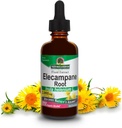 Prírodná odpoveď Elecampane Root 2 oz. Nízky organický alkohol 2000mg - Bylinné doplnky - Non GMO & Kosher - Nízky alkohol Gluten zadarmo 100% Vegan - 2 FL Oz