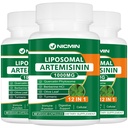 Lipozomálne Artemisin Supplement 1000mg, Sweet Wormwood Extract with 200mg Quercetin Phytozome, Maximálna absorpcia pre Antioxidant 180 Kapsule
