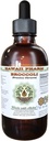 Hawaii Pharm Brokolica Bez obsahu alkoholu Tekutý extrakt, organická brokolica (Brassica Oleracea) Seed Glycerit Prírodný bylinný doplnok 4 oz