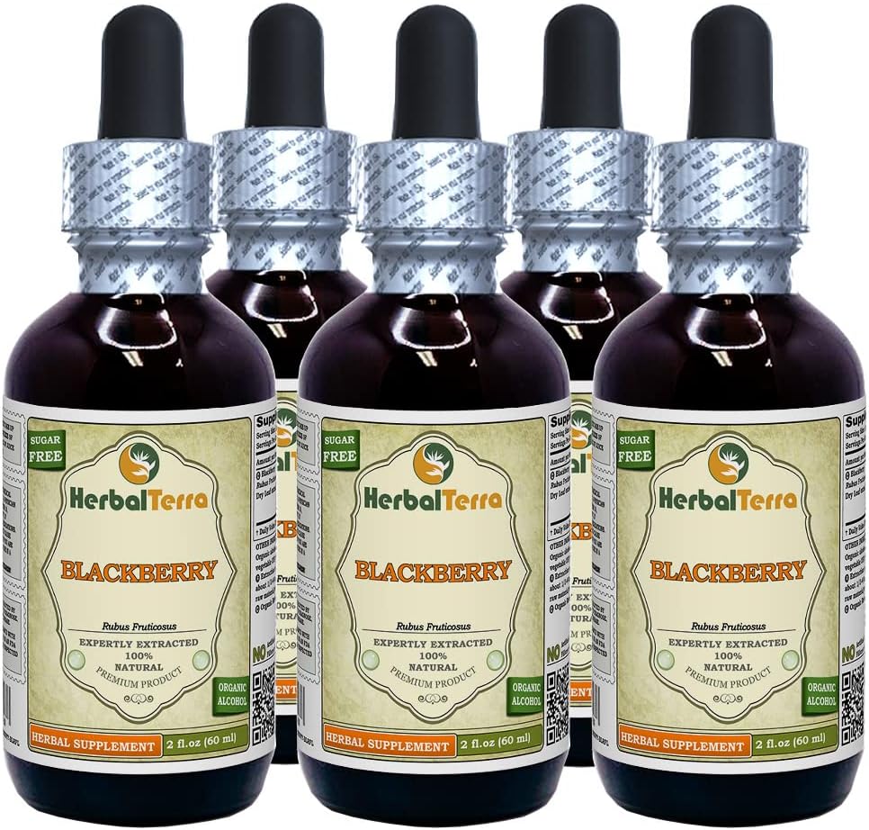 BlackBerry (Rubus fruticosus) Tinktúra, Organicky sušené listy tekutý extrakt (Brand Name: HerbalTerra, hrdo vyrobené v USA) 5x2 fl.oz (5x60 ml)