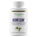 Rajové byliny Olivový list extrakt zo španielskych Andalúzskych olivovníkov, Super Potent, Ultra Pure, Non-GMO, Vegan, Gluten Free, 60 Vegetariánske kapsule