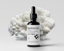 Organic Lion's Mane & Gotu Kola Tincture - Boost Mental Clarity - Fruiting Body Extract