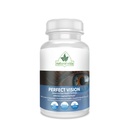 Perfektná vízia AREDS2 inšpirované Formula - Zlepšenie Vision Supplement - Lutein Zeaxantin Vision Complex (60 očné kapsuly)