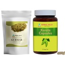 HERBAL HILLS Gurmar Prášok na čaj a Karela Kapsule Balenie po 2 Combo