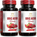 URIC Acid Support - Výkonné Raw Tart Cherry Extract Antioxidant, Kyselina močová Suplement, Kyselina močová Vitamín w/Tart Cherry - 2 Fľaše 120 Kapsule