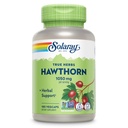 SOLARAY Hawthorn Berry kapsuly 1050 mg - Upokojujúca bylinná podpora - Hawthorne Berry doplnok pre celkovú Wellness podporu - celý Berry, Vegan, non-GMO, 60 dní záruka, 90 Servings, 180 VegCaps