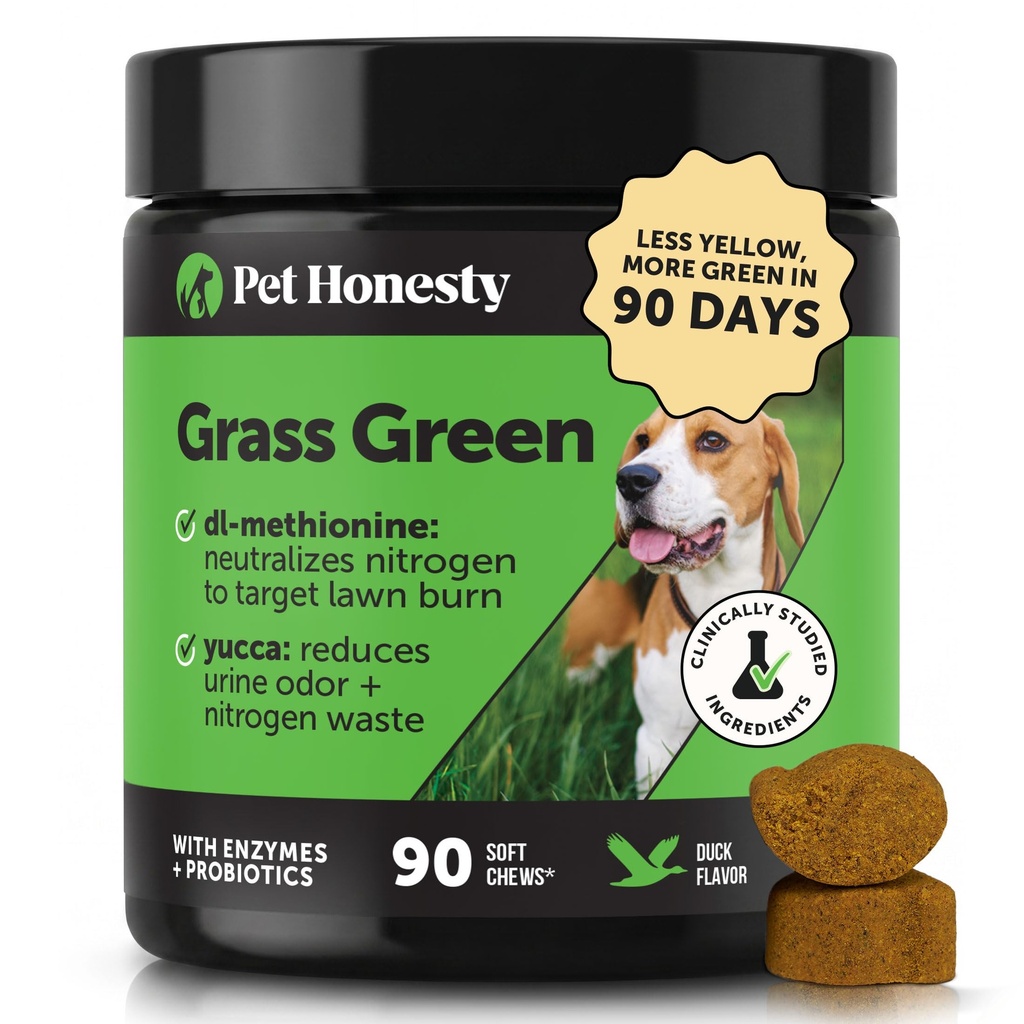 Grass Zelený pes žuvačky - Moč neutralizátor pre trávnik, Pes Pee Grass pomáha Yard zostať zelená adresa Burn Spots s probiotikami a enzýmami (Duck)
