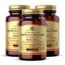 Solgar Metylkobalamín (vitamín B12) 5000 mcg, 60 Nuggets (pack of 3) - Cherry Flavor - podporuje energetický metabolizmus - Body-Ready, Active Form - Non-GMO, Vegan, Gluten Free - 180 Celkom Servings