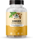 Amazing Botanicals Ginger Root Extract tablety 200 mg - 10% Gingerols, 20 mg v tablete, 30 tabliet