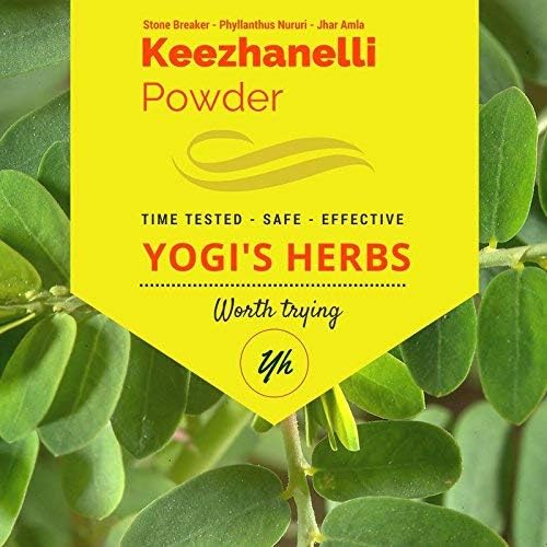 YOGIS HERBS Keezhanelli Powder (Phyllanthus Niruri) | Chanca Piedra Stone Breaker – Liver, Kidney & Gallbladder Support– Fresh & Pure Herbal Supplement (8 oz)