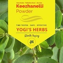 YOGIS HERBS Keezhanelli Powder (Phyllanthus Niruri)