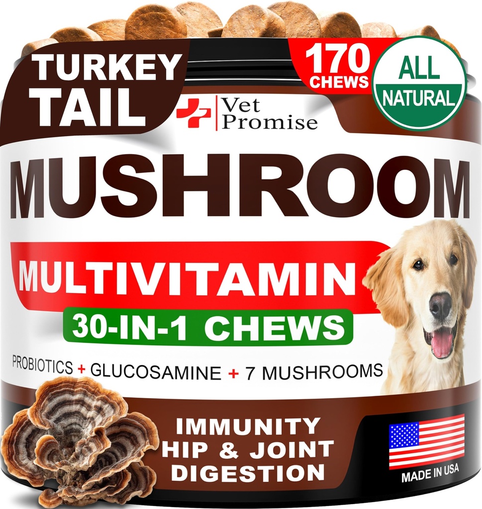 Huba pre psy - 170 žuvačiek - Turkey chvost - Huba doplnok pre psy - Lions Mane - Reishi - Imunitná podpora Multivitamínové vitamíny - Spoločné zdravie - Energia - Gut - koža - Vyrobené v USA