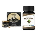ORGANICKÝ SPREE Pure Himalayan Shilajit Resin & Mucuna Supplement 20g & 120 Tablets