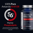 100% Pure Krill Oil 1000MG 120-Day Supply Double Strength 56% Fosfolipidy Astaxantin Trvalo udržateľný Antarktída SuperbaBoost Omega 3 EPA DHA Heart Brain Skin Care, Third-Party Tested, No Fish Oil
