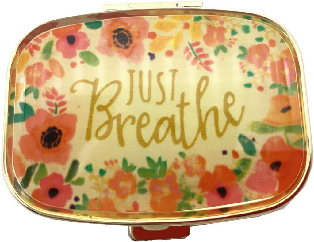 AmyZone Kovové pilulky Organizátor Cestovanie Friendly Prenosné Kompaktné pilulky Box pilulky Prípad držať vitamíny/tylenol/rybový olej/doplnky/Meds/tableta pre Purse/Pocket [len dýchať) ]