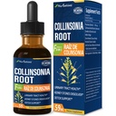 Collinsonia (Stone Root) kvapky pre močových ciest zdravie, Prírodné bylinné formula doplnok w / Stone Breaker Chanca Piedra Extract Podpora Obličkové kamene Rozpúšťadlo & Detox Čistenie. 2oz