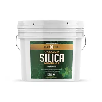 Vulkanický oxid kremičitý minerály Mikronizované- 10 lbs