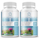 (2 balenia) Mlieko Thitle doplnok Kapsule, Pečeň Zdravie Formula, s púpavkovým koreňom, 10:1 extrakt, pre Pečeň Detox Cleanse Support, Tráviaci a imunitný systém,240 Počet