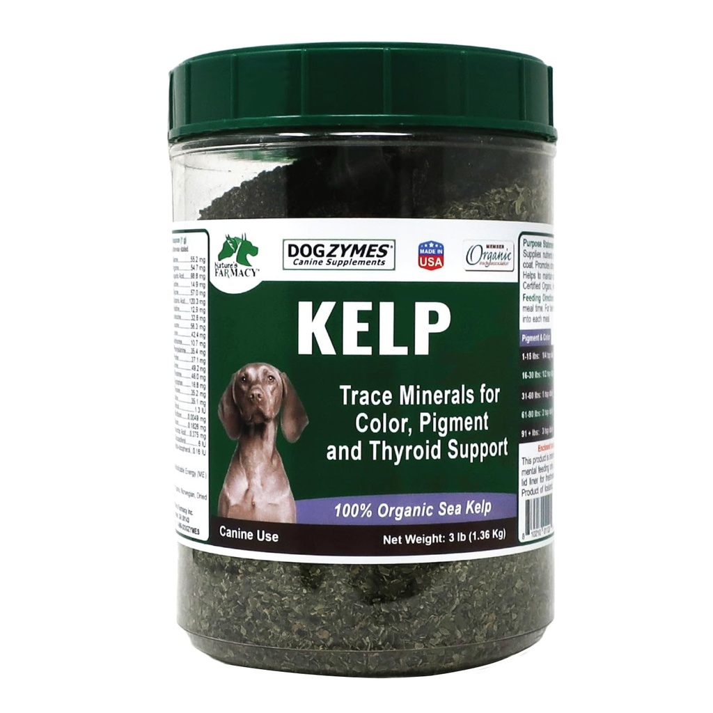 Dogzymes Organic Nórsky Kelp pre domáce zvieratá, cenný zdroj výživy bohatý na jód na podporu Gland funkcie, najmä štítnej žľazy (3 libra)