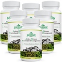 Active Hexose Correlated Compound 1500 mg Supplement, Natural 8 Mušroom Extract Supplement, Immune System, Pečeň Funkcia, Prírodný zabijak a T bunky Aktivita, 540 Veggie Kapsule