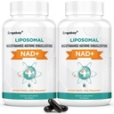 Lipozomálna NAD+ Doplnková dávka 500 mg, vysoká absorpcia, zvýšená hladina NAD+ s TMG 250 mg, skutočná NAD Plus efektívnejšia ako nikotínamid Riboside, podporná bunková energia, zdravá aging 120 Softgels