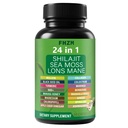 Soursop Capsules with 24-in-1 Herbal Blend - Includes Graviola, Shilajit, Sea Moss, Lions Mane, Turmeric, Ashwagandha, Ginger, Manuka Honey - Vegan, Non-GMO Dietary Supplement - 60 Capsules (01)
