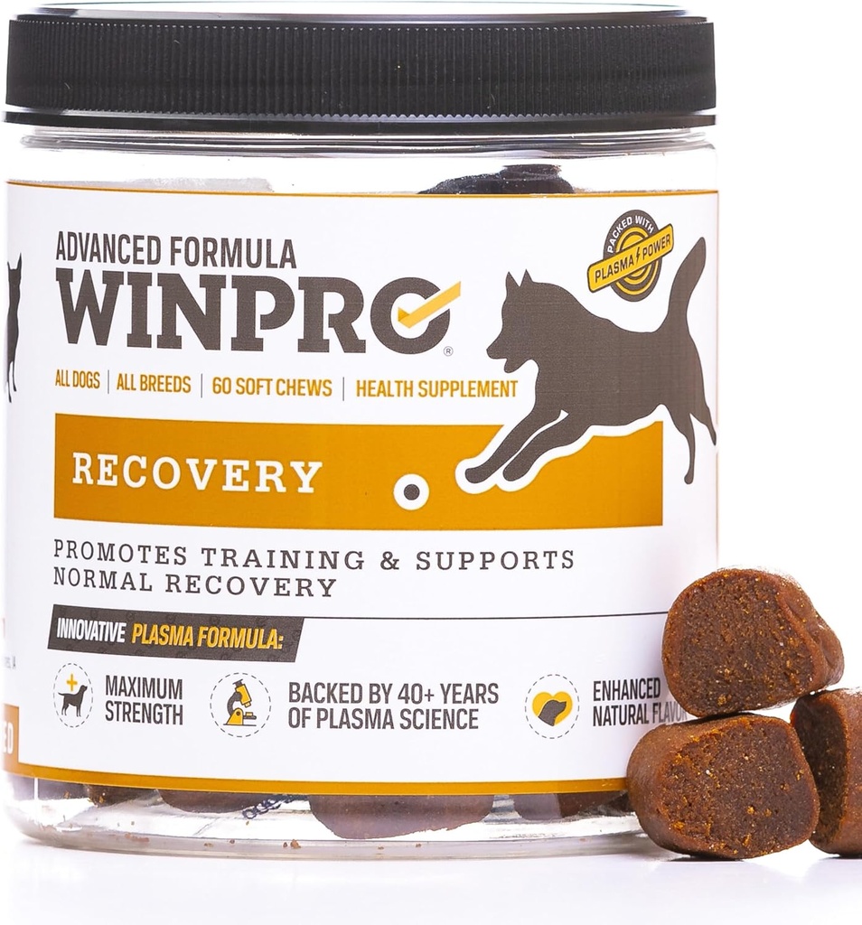 WINPRO Recovery Chews pre psy, Plasma-Powered pre aktívne psy, Immune System Support, a Psie tréningová podpora pre hospodársku súťaž a športové svalovej obnovy a agility, 60 Gróf, Made in USA
