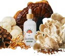 Rainbo - 11:11 Multi Huba Tinktúra - 11-in-1 Bez alkoholu - Dual Extract Mushrom Blend - Komplexná imúnna podpora, Podpora mozgu, Liquid Lion's Mane & Turkey Tail, Vegan, Non GMO, 3.4 fl oz