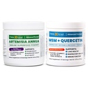 Twig & Leaf Artemisia Annua Immune Powder + MSM Quercetin Powder with Vitamin C & Zinc – Supports Immune, Brain, Gut, Respiratory & Lung Health – Fruit Punch & Strawberry Banana – 2-Pack Bundle