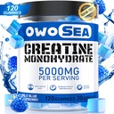 Kreatín Monohydrát Gummy pre mužov a ženy 5000mg Kreatín Monohydrát na podanie pre podporu svalovej hmoty Energia Boost 120 Gróf Žuvateľný 5g Kreatín Supplement Supplement Sugar Free Vegan (1 balenie, Modrá malina)